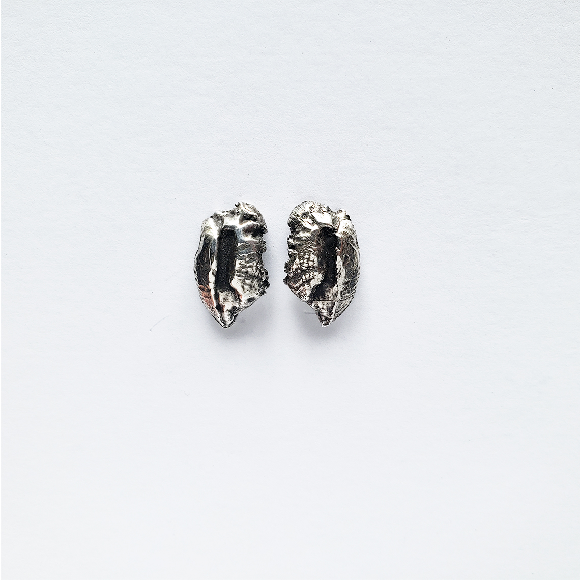 otolithstuds