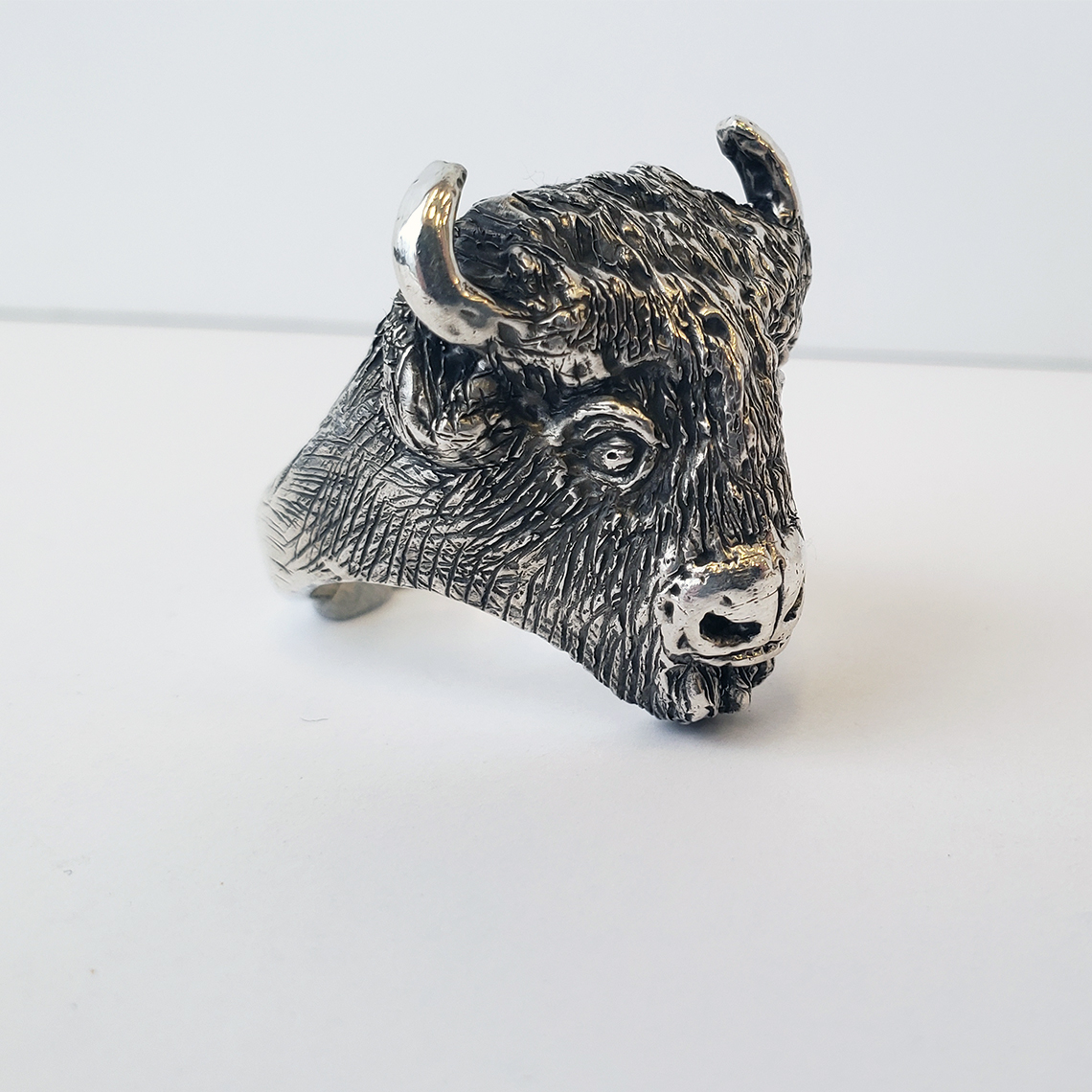 bisonforsite