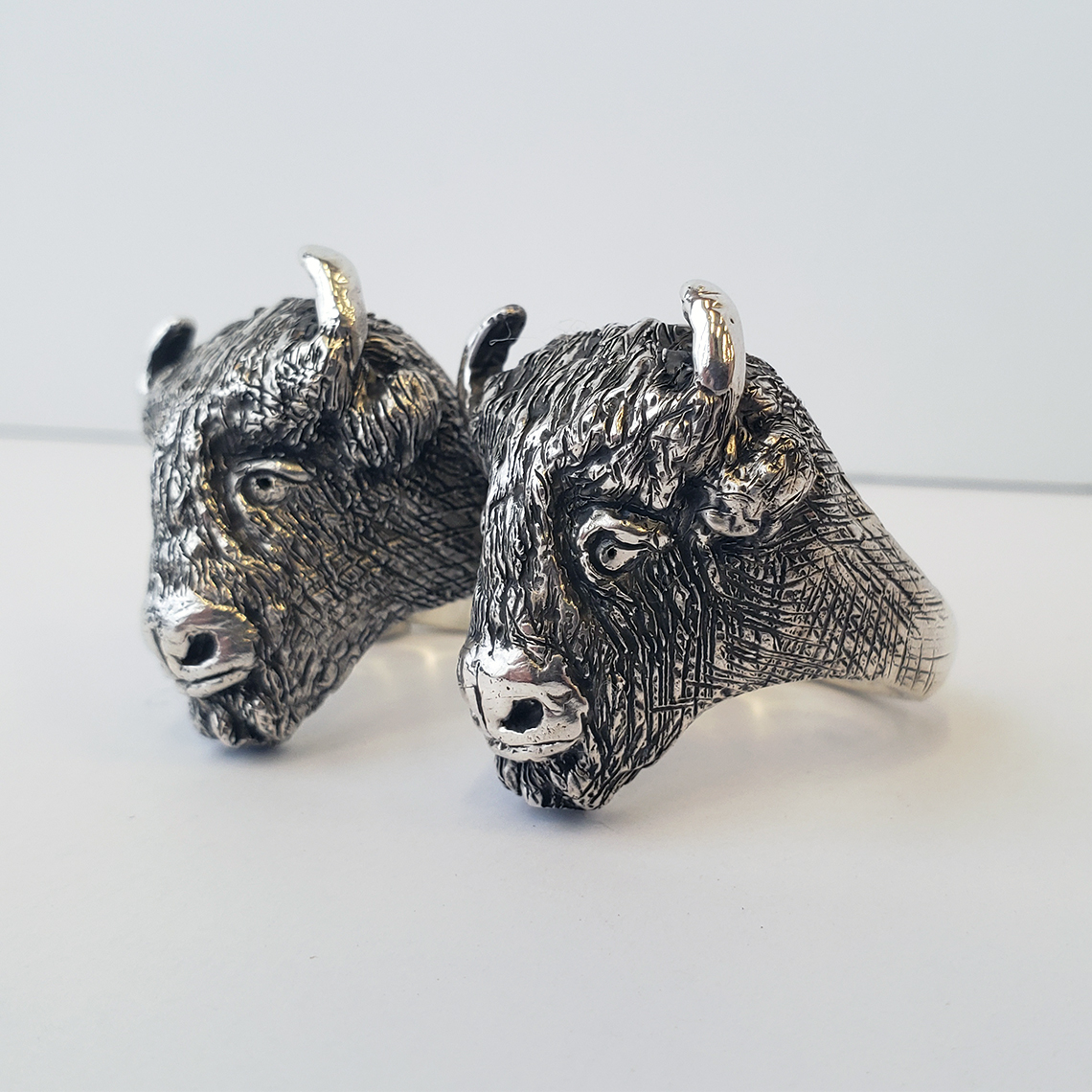 doublebisonforsite