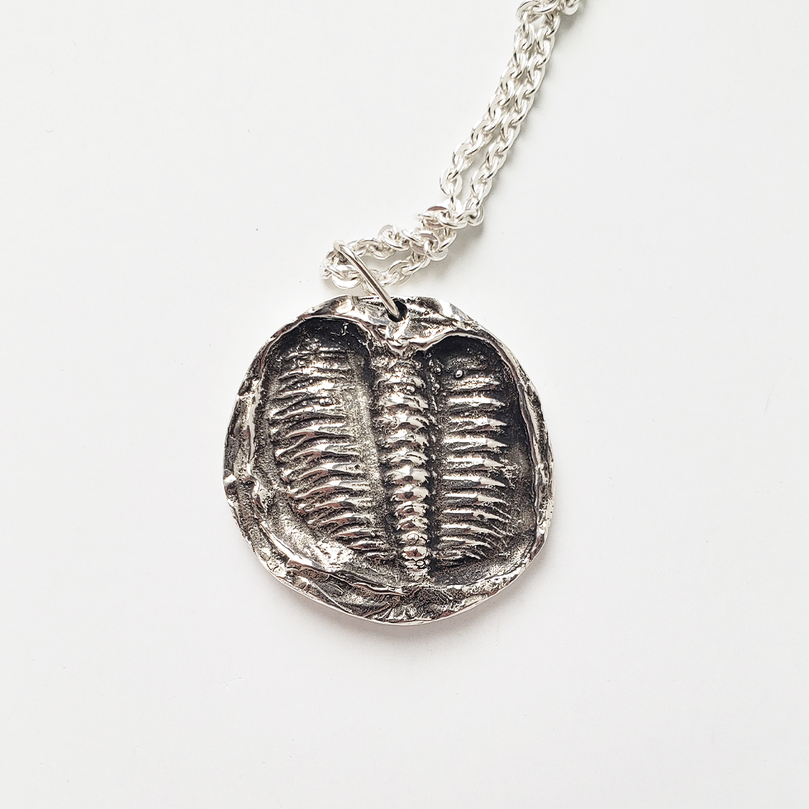 trilobitecloseup
