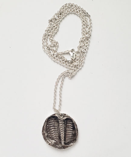 Headless Trilobite Medallion